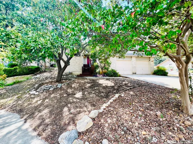 a view of a backyard with a tree