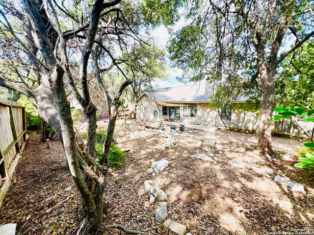a view of a large yard with plants and trees