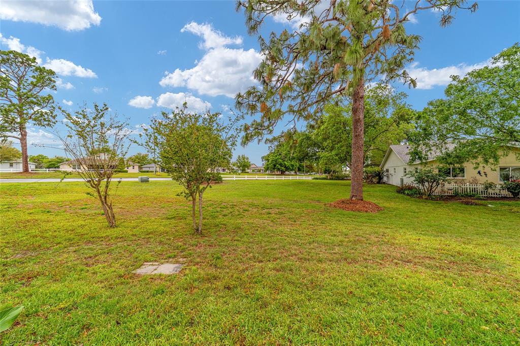 9240 Southwest 90th Court, Unit B Ocala, FL 34481 - Photo 4 of 40 a view of a yard with a large tree