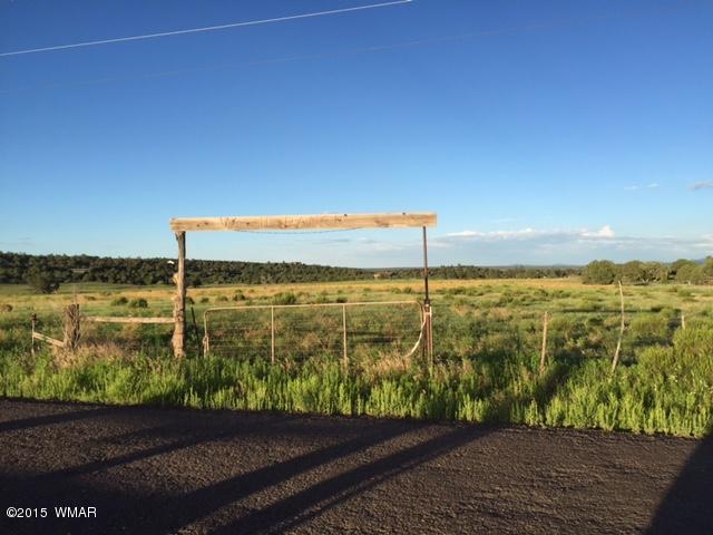 1108 Burton Ranch Road Road Show Low, AZ 85901 - Photo 11 of 13