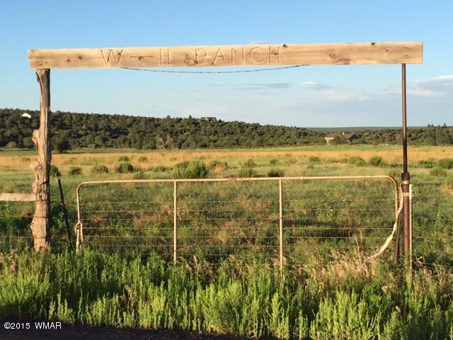 1108 Burton Ranch Road Road Show Low, AZ 85901 - Photo 12 of 13