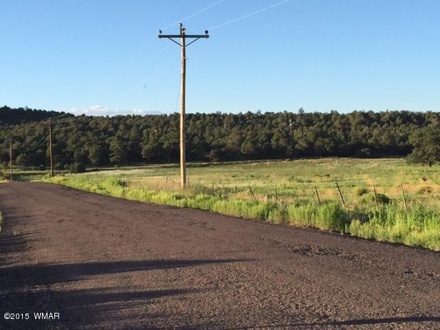 1108 Burton Ranch Road Road Show Low, AZ 85901 - Photo 13 of 13