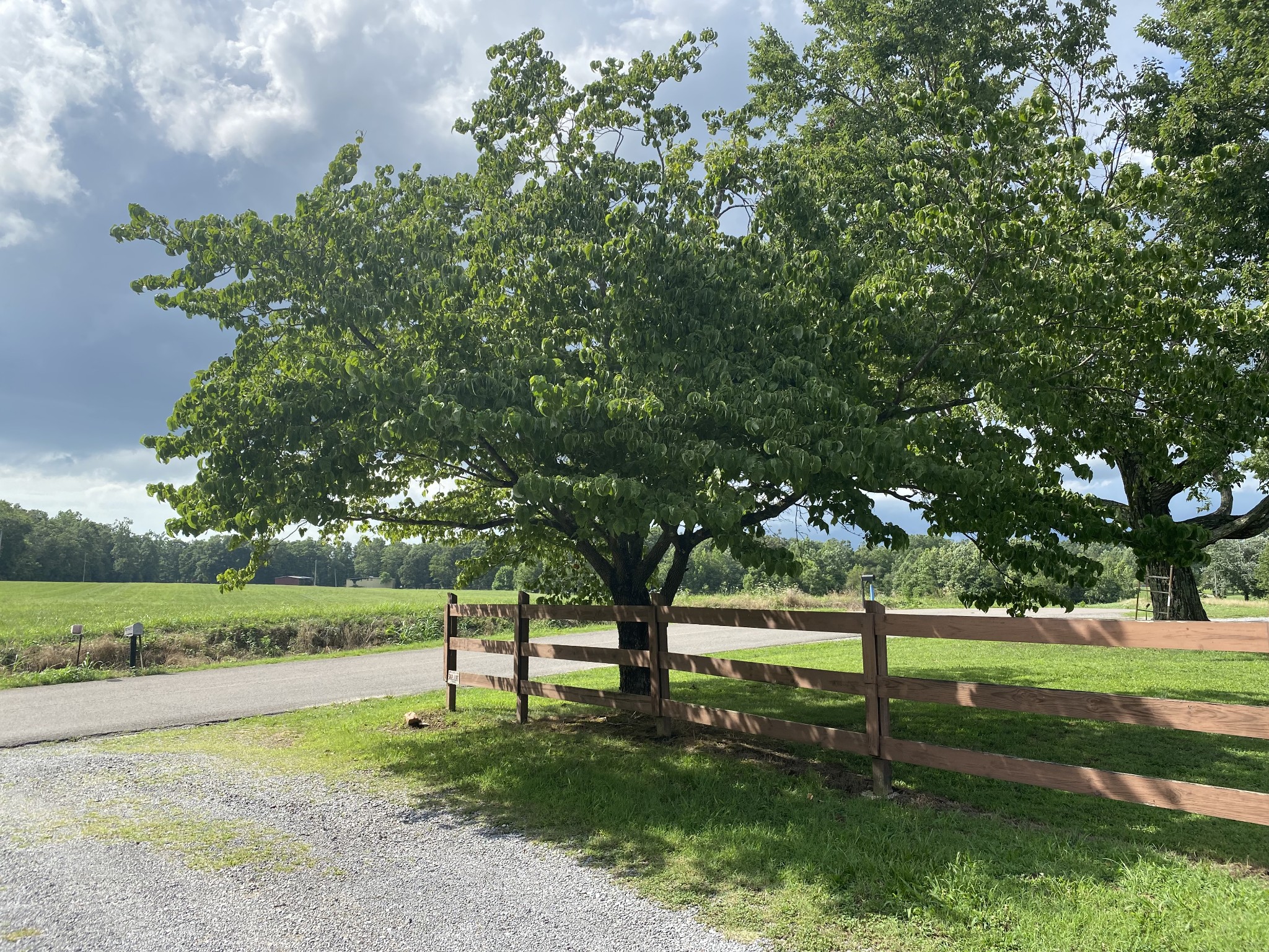 76 5 Points Road Tullahoma, TN 37388 - Photo 4 of 45 Gallery Image 4