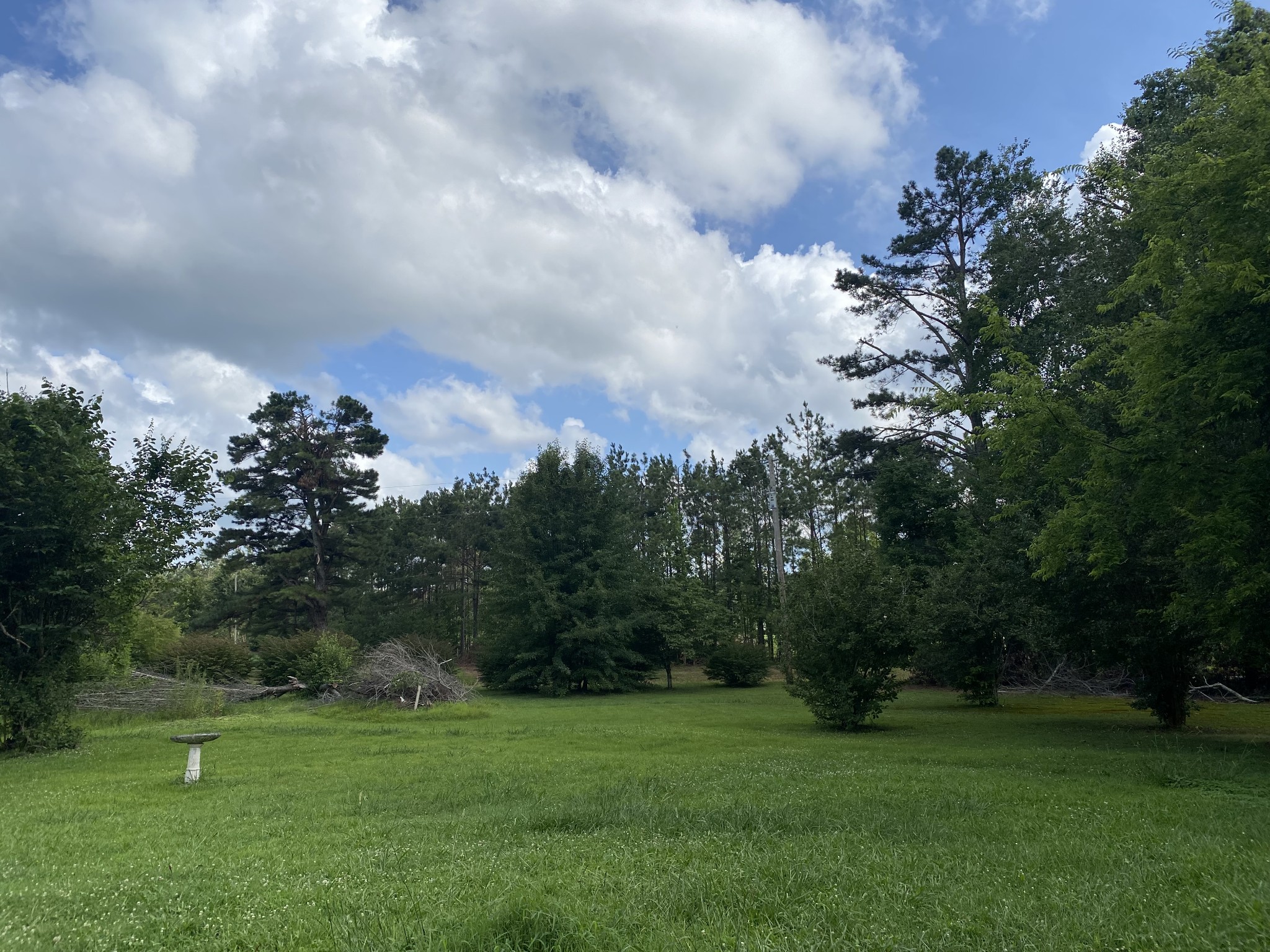 76 5 Points Road Tullahoma, TN 37388 - Photo 5 of 45 Gallery Image 5