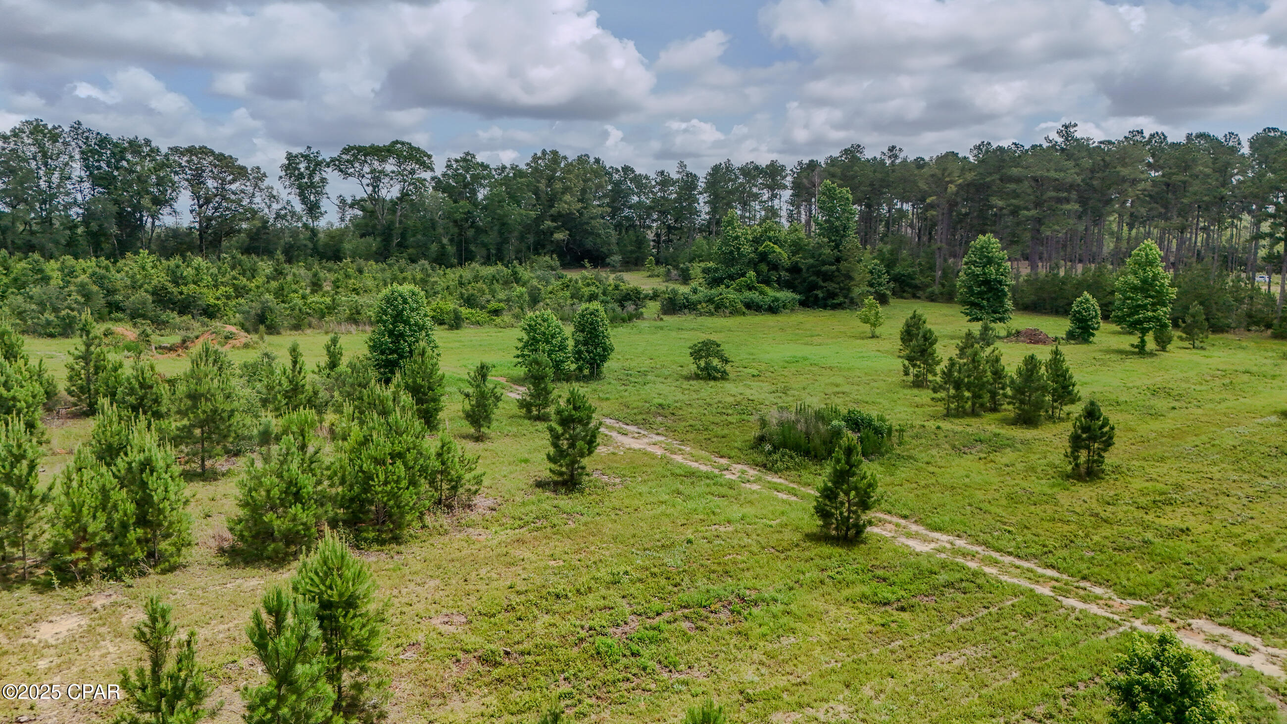 0 Wilderness Road Caryville, FL 32427 - Photo 14 of 16