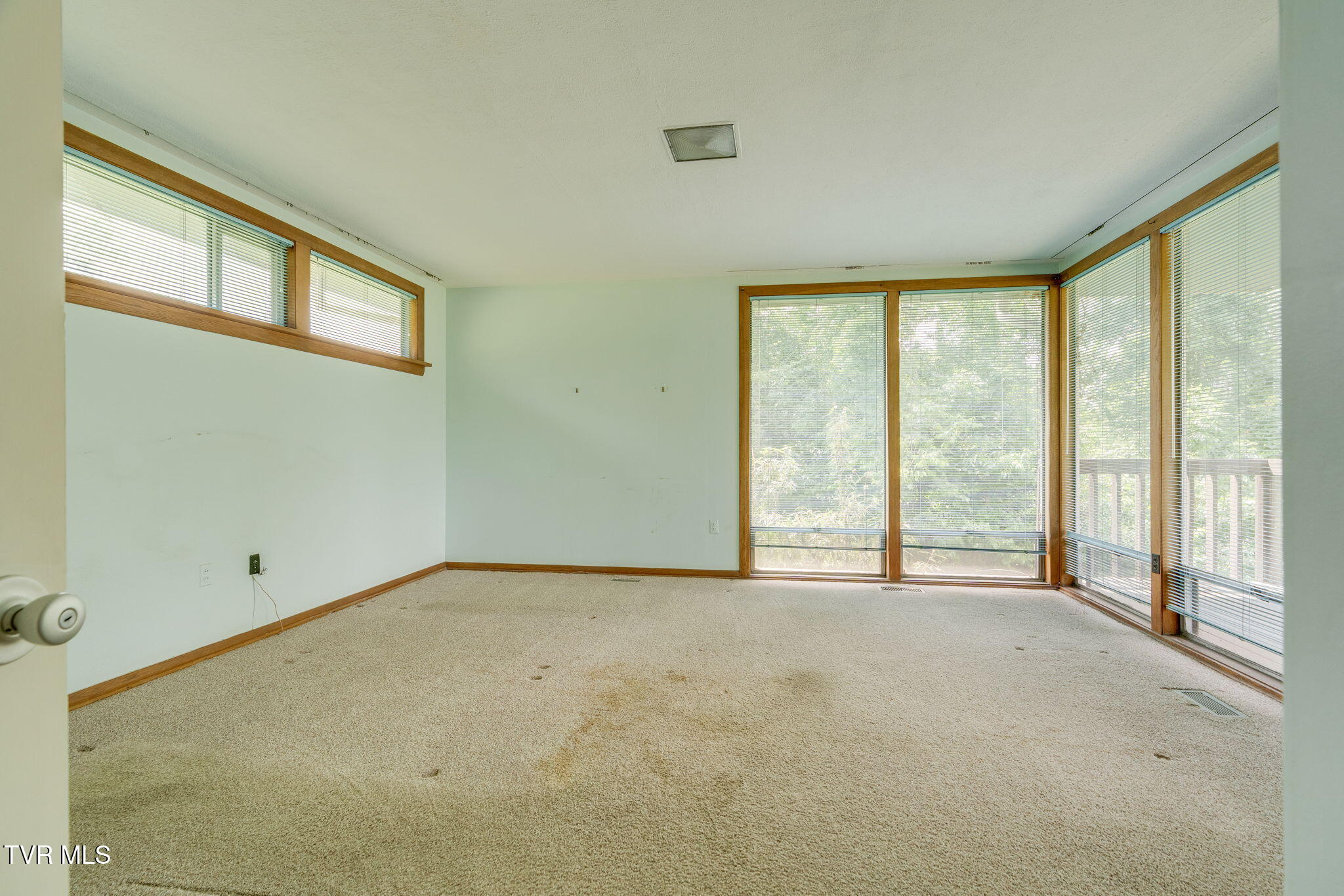 209 Maple Tree Drive Bristol, TN 37620 - Photo 41 of 53 025
