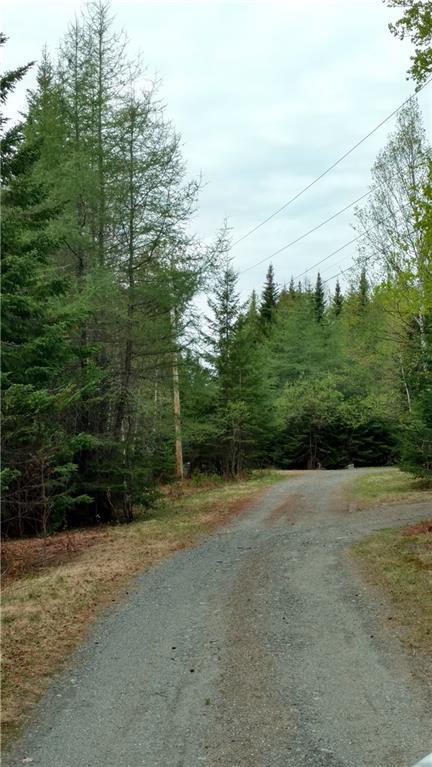 Lot 2 Dodge Pond Road Rangeley, ME 04970 - Photo 2 of 8 Photo