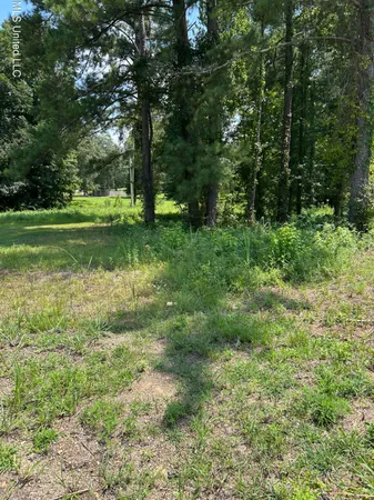 $30,000 | 0 Faulkner Cove, Terry, MS 39170