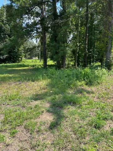 $35,000 | 0 Faulkner Cove, Terry, MS 39170