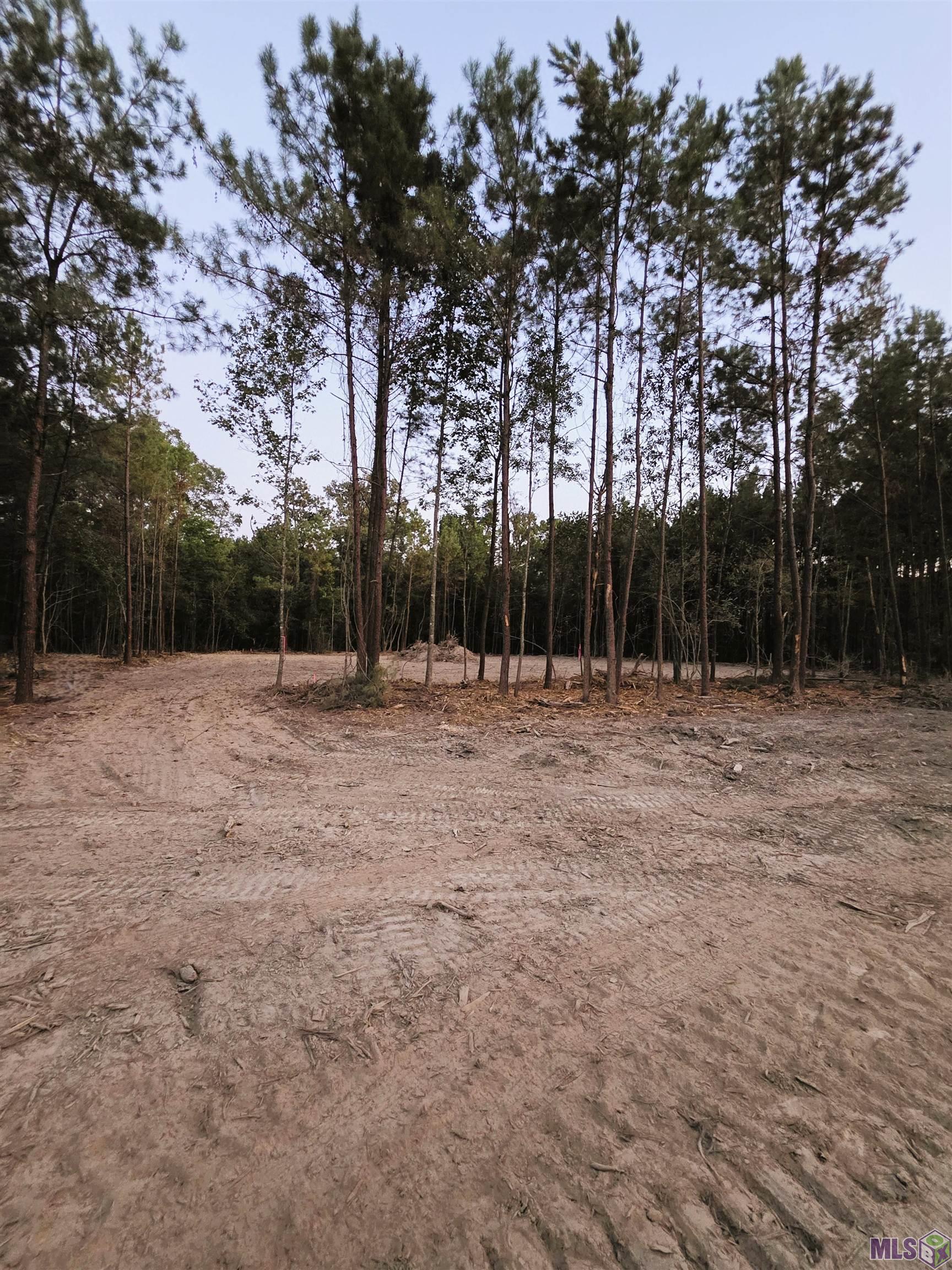 17255 Jack Allen Road Livingston, LA 70754 - Photo 1 of 8 Lot 3