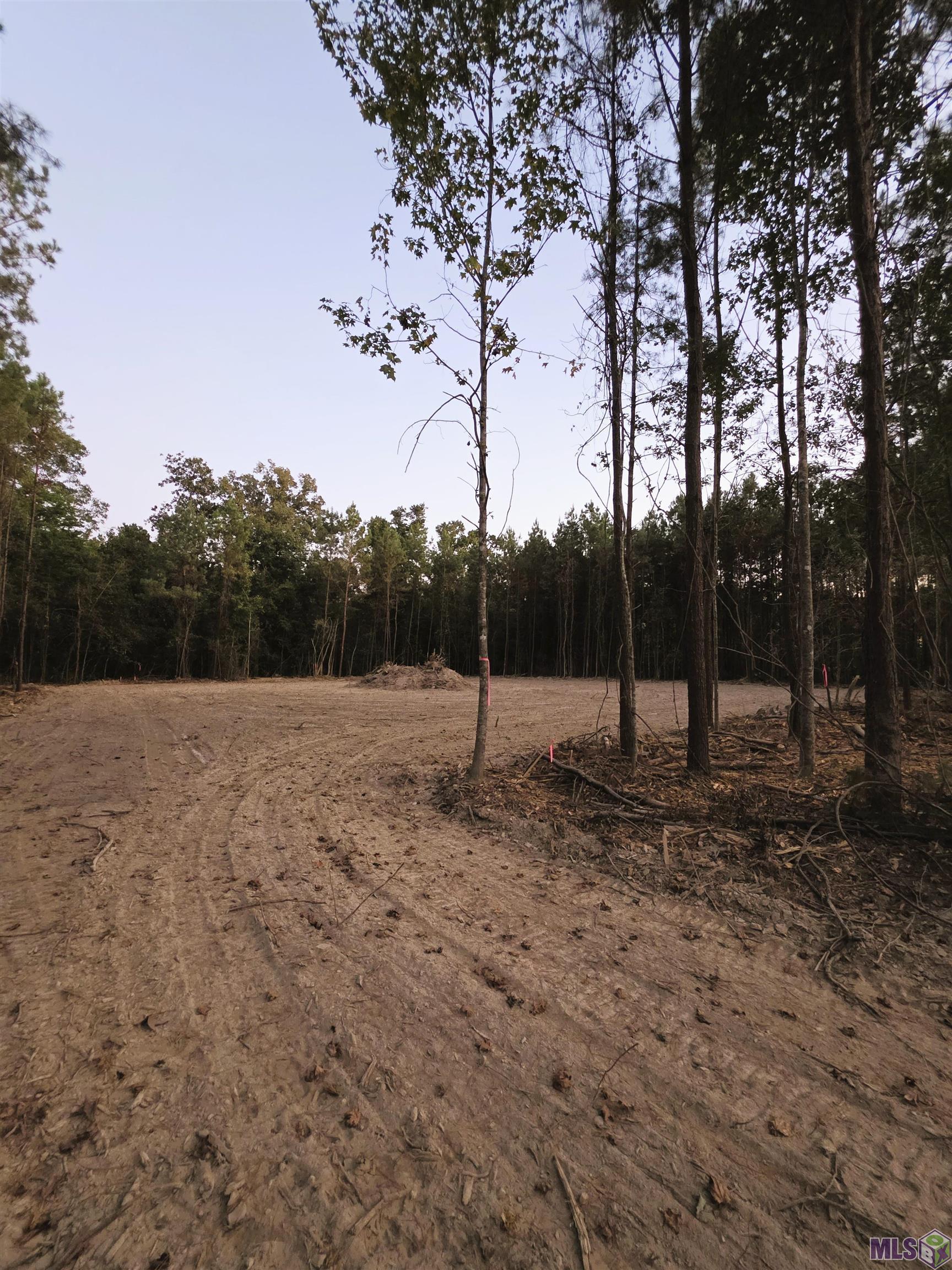 17255 Jack Allen Road Livingston, LA 70754 - Photo 3 of 8 Gallery Image 3