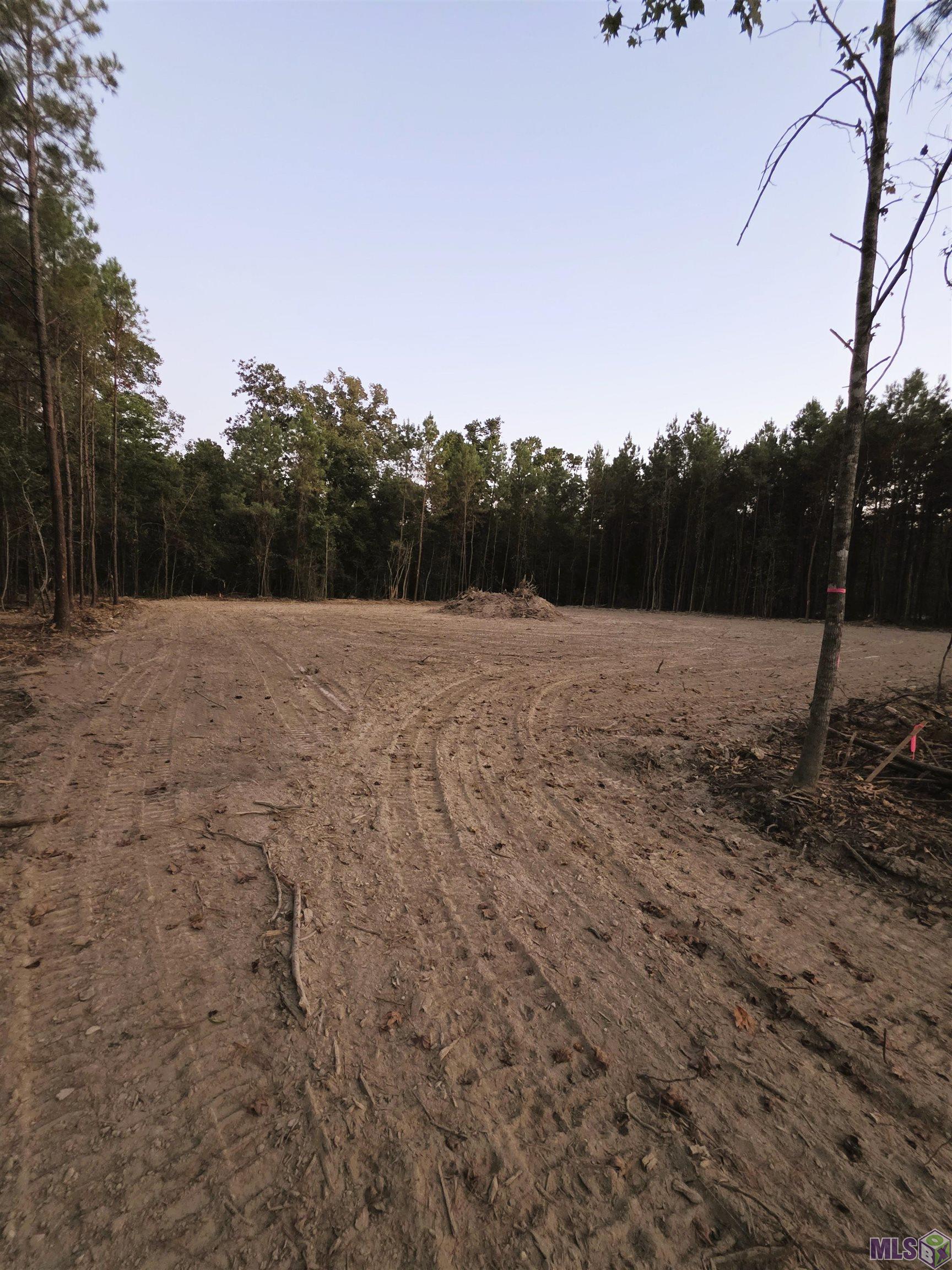 17255 Jack Allen Road Livingston, LA 70754 - Photo 4 of 8 Gallery Image 4