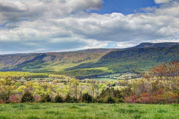 Tbd Bixlers Ferry Road Luray, VA 22835 - Photo 3 of 12 Gallery Image 3