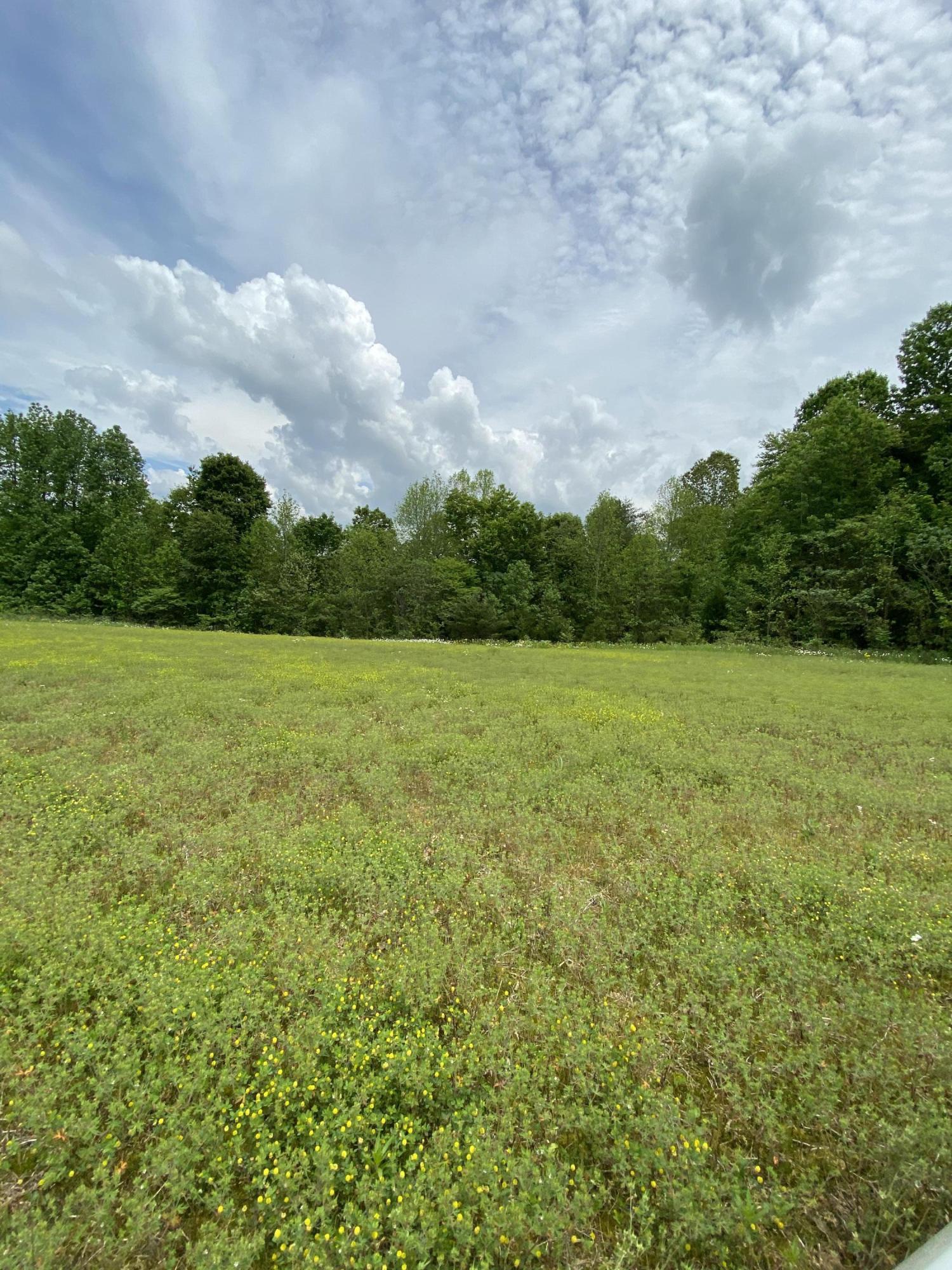 123 South Fork Ridge Road Liberty, KY 42539 - Photo 18 of 28 CEFB6B5E-91C7-485C-9084-AC368652C773<|>P