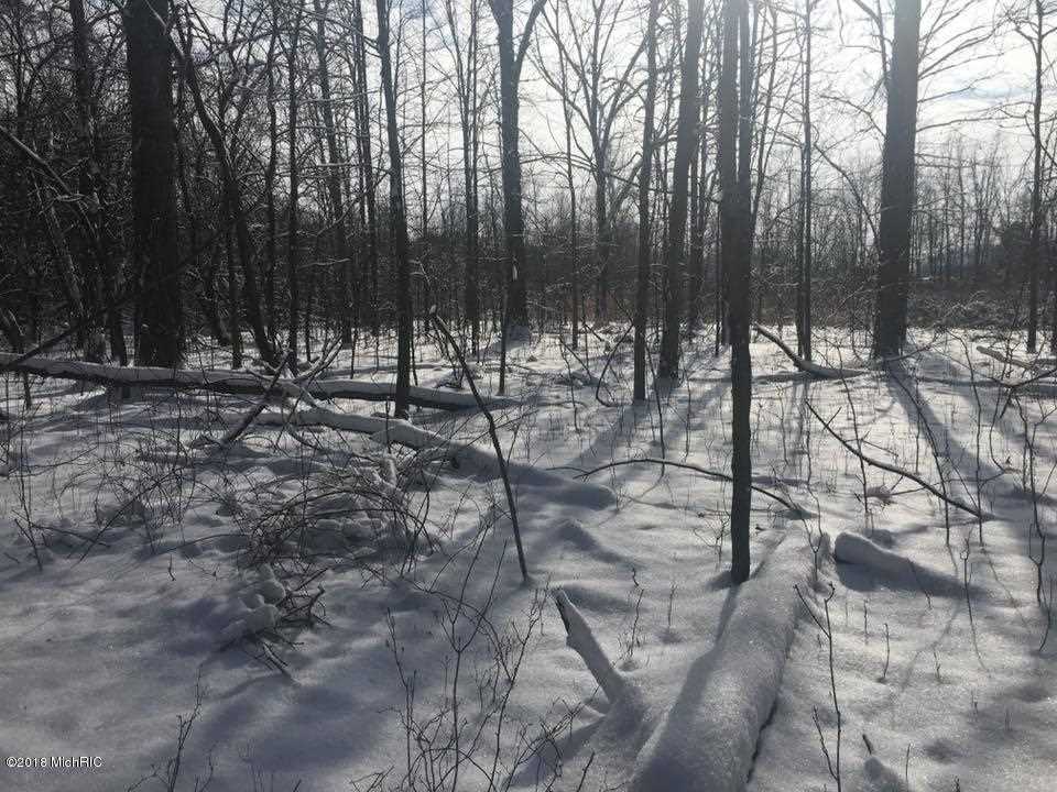 V/l Moore Road Tekonsha, MI 49082 - Photo 8 of 12