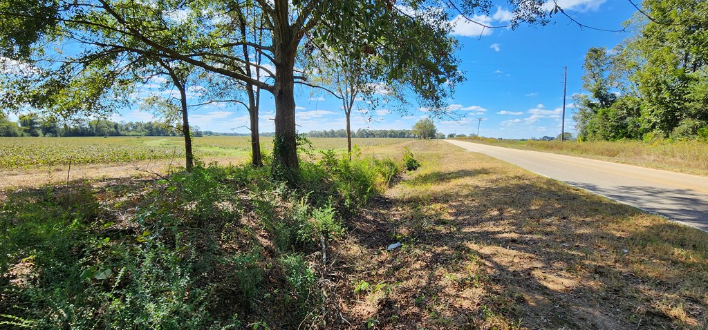 92 County Road 92 Slocomb, AL 36375 - Photo 15 of 32