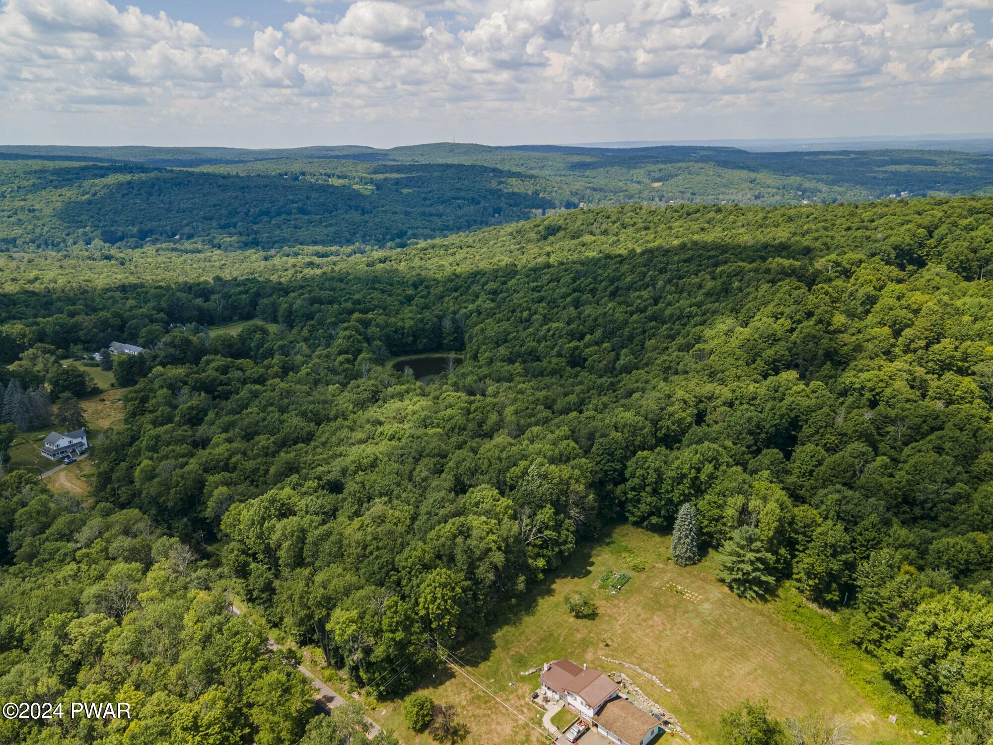 Pine Grove Road Newfoundland, PA 18445 - Photo 7 of 18