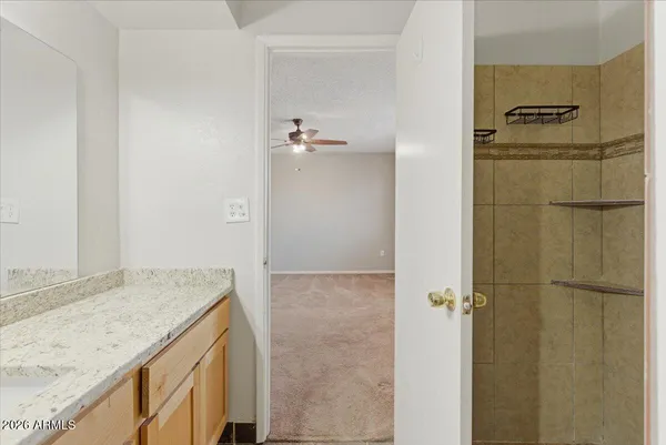 a bathroom with a granite countertop shower and a sink
