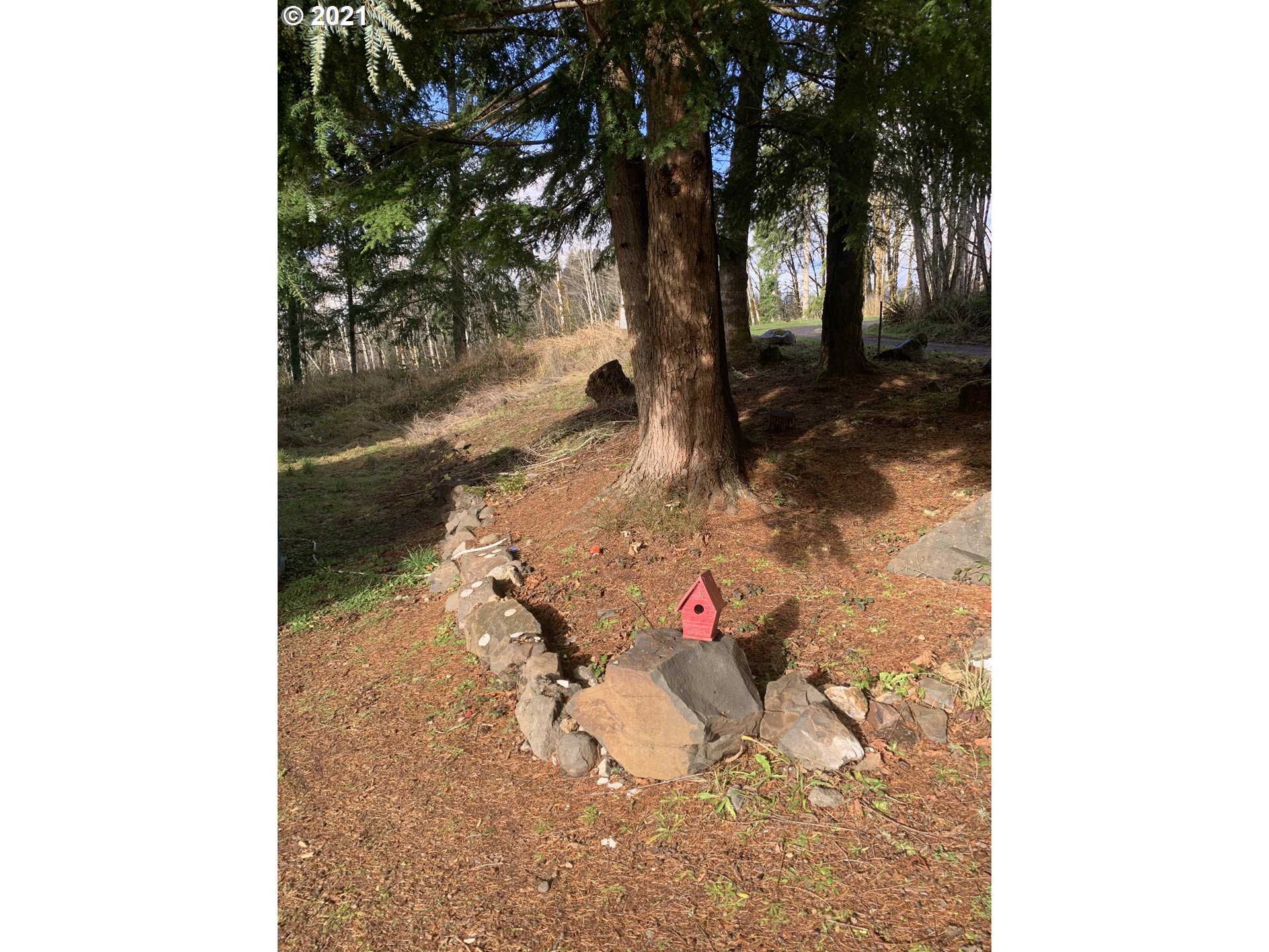 42545 Elsie Deer Road Seaside, OR 97138 - Photo 12 of 13 Gallery Image 12