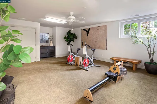 a room with gym equipment and a potted plant