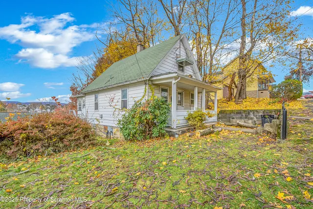 a view of a yard with plants and large tree