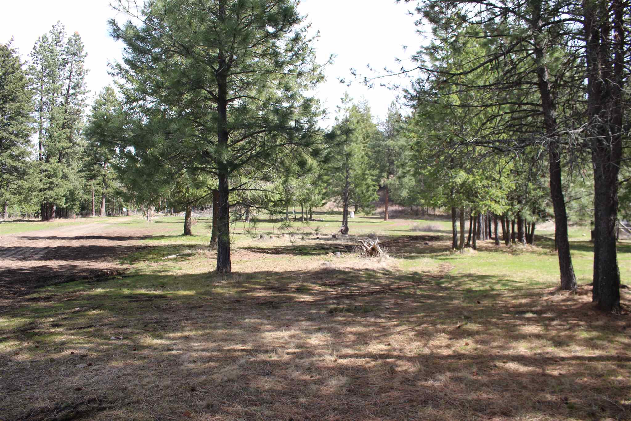 41412 North Jackson Road Elk, WA 99009 - Photo 1 of 12