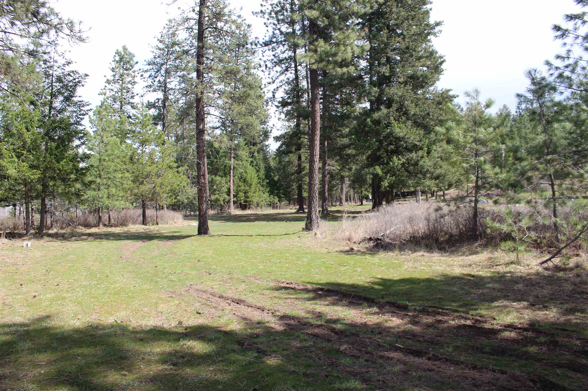 41412 North Jackson Road Elk, WA 99009 - Photo 3 of 12