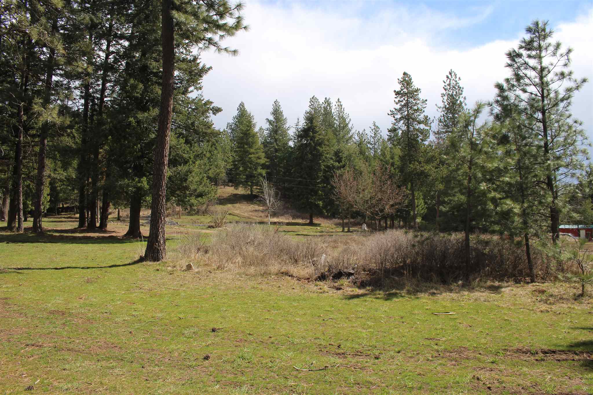 41412 North Jackson Road Elk, WA 99009 - Photo 4 of 12