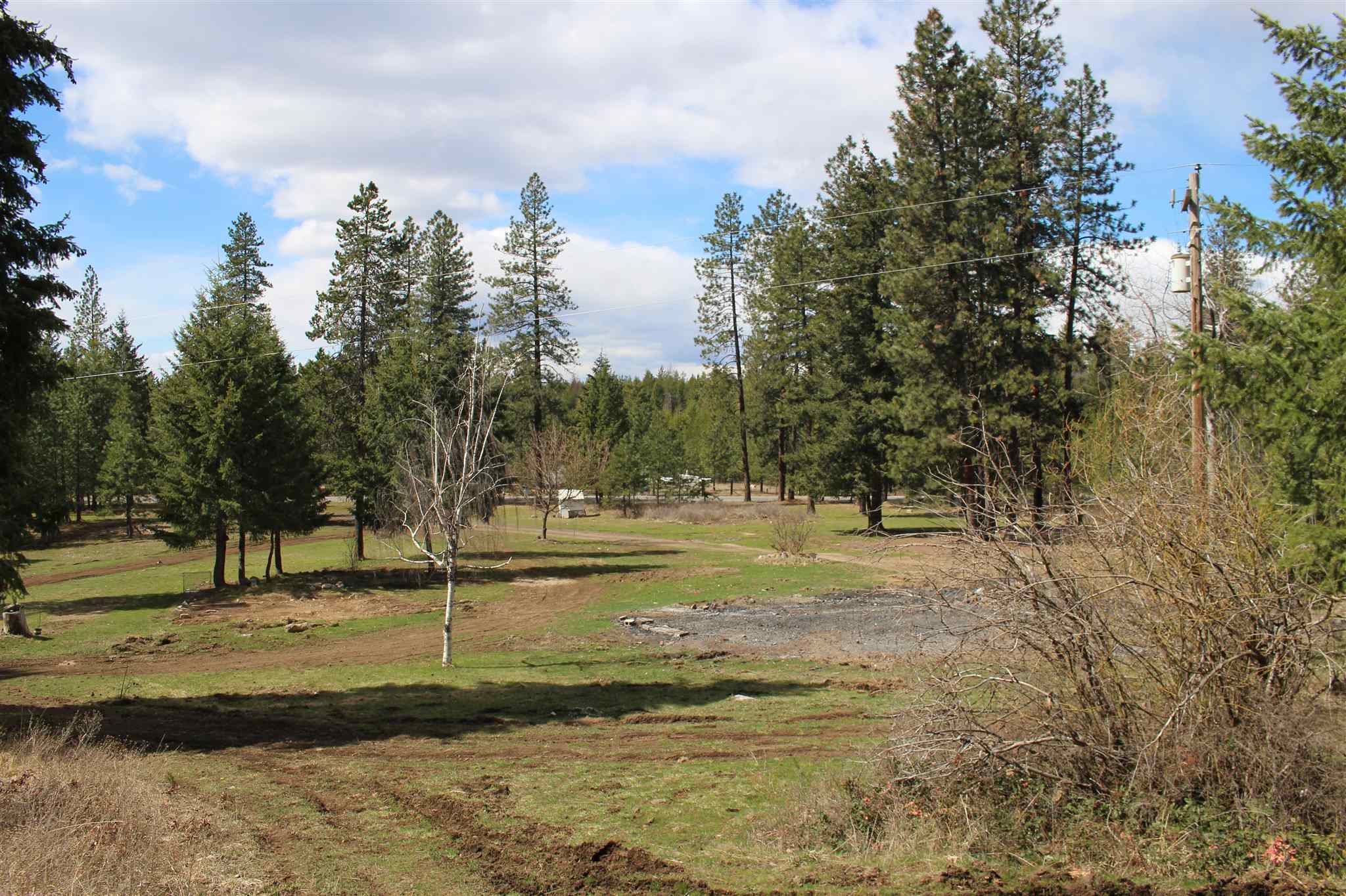 41412 North Jackson Road Elk, WA 99009 - Photo 5 of 12