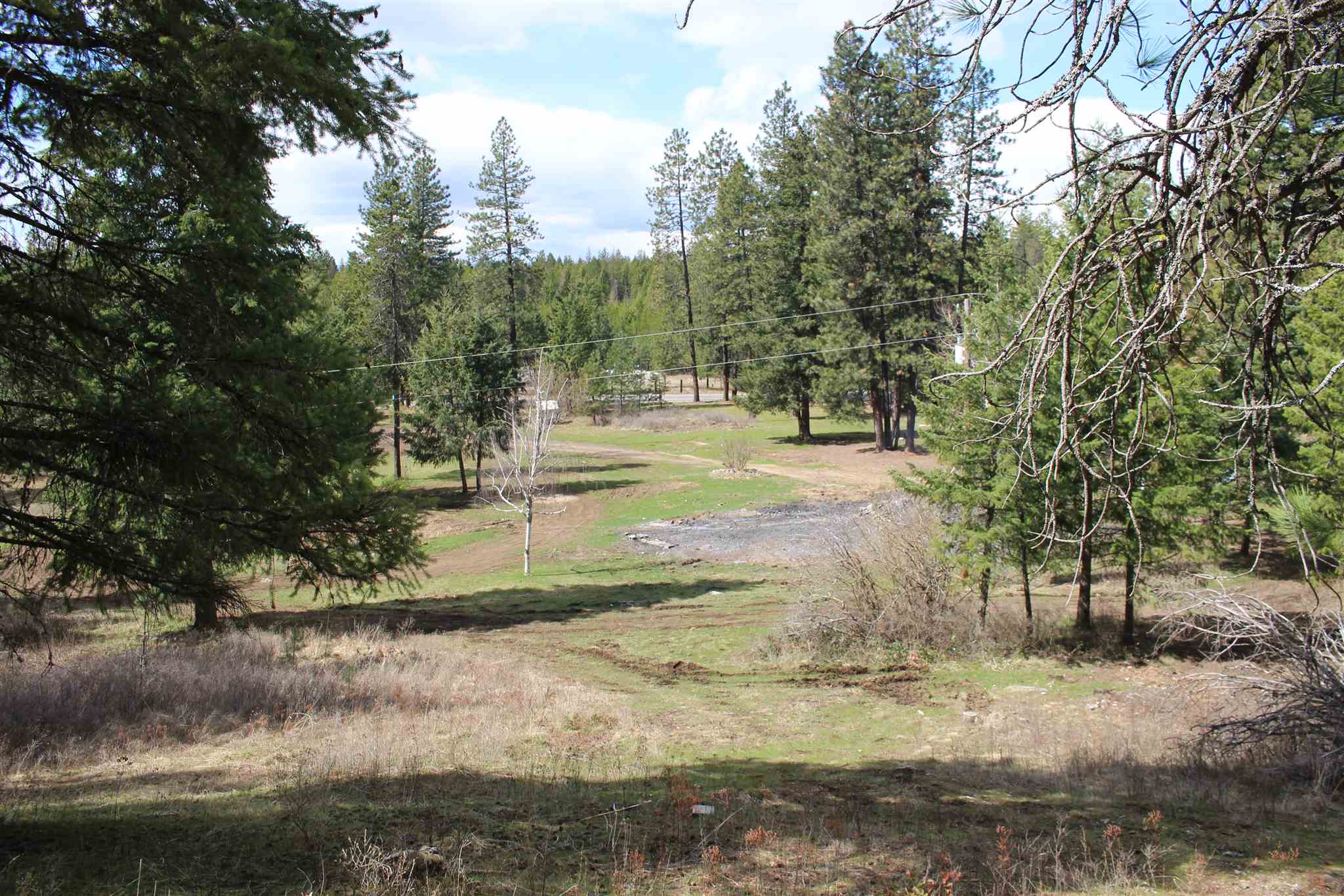 41412 North Jackson Road Elk, WA 99009 - Photo 7 of 12