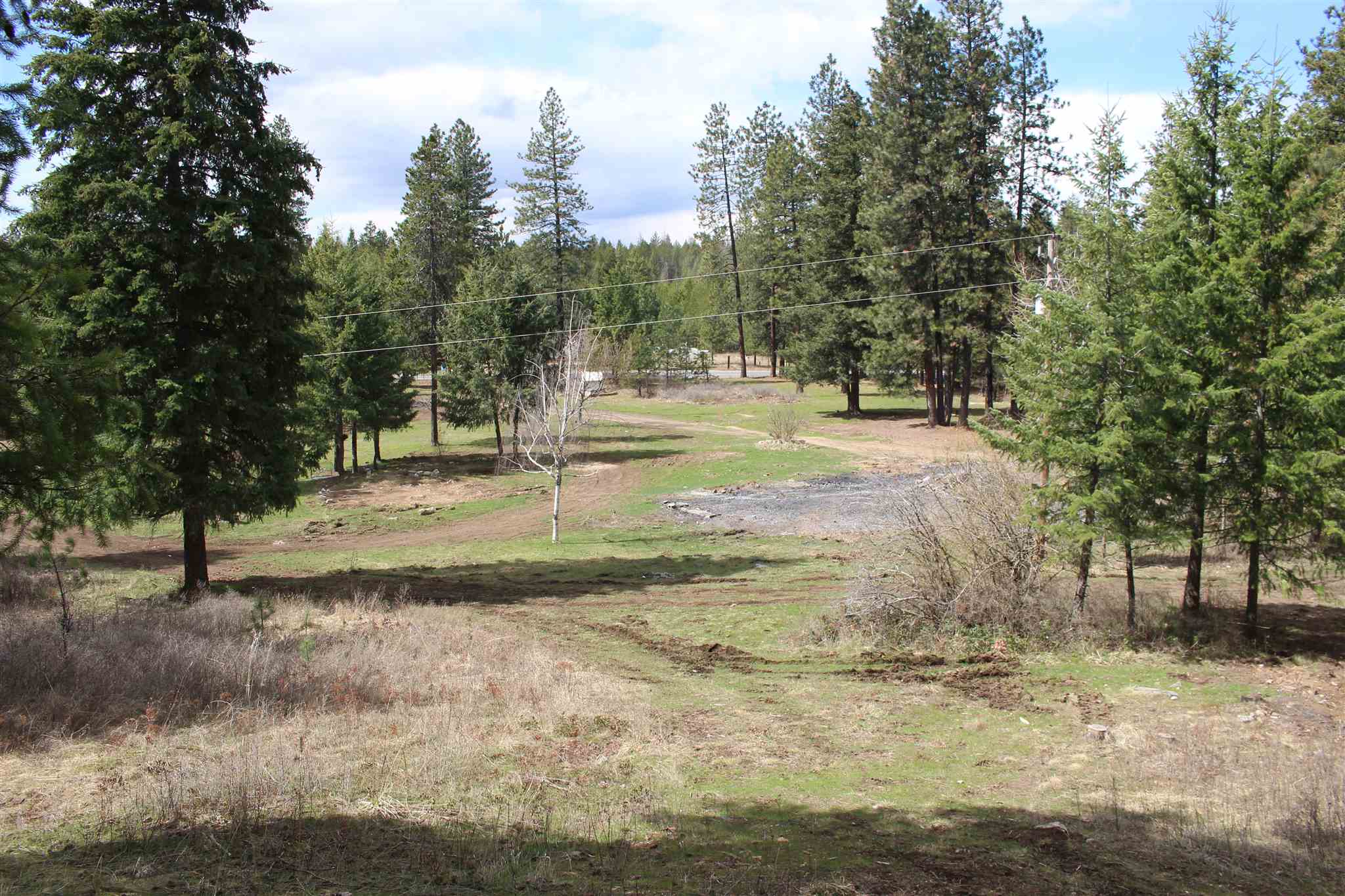 41412 North Jackson Road Elk, WA 99009 - Photo 8 of 12