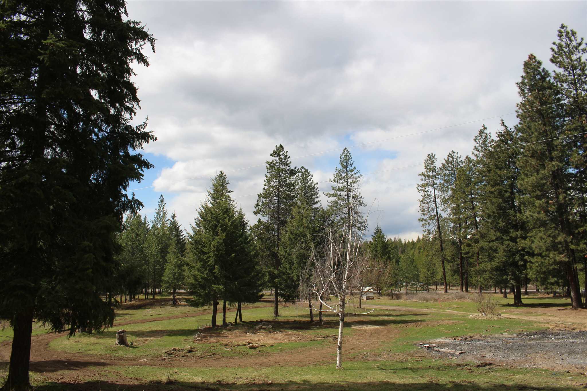 41412 North Jackson Road Elk, WA 99009 - Photo 9 of 12
