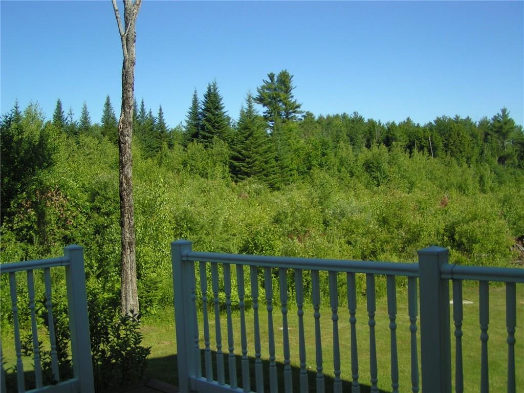 50 Mt Mica Road South Paris, ME 04281 - Photo 31 of 35 Another woodland view off back deck.