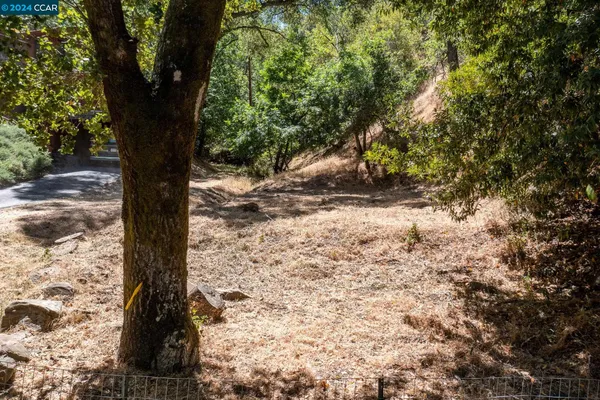 a view of a yard with trees