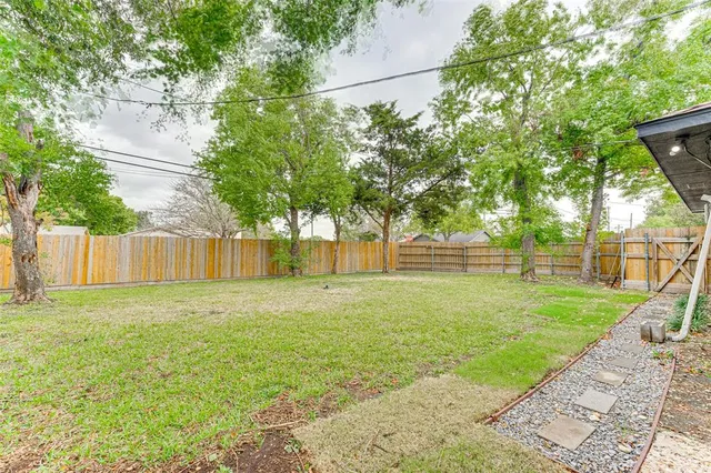 a view of a yard with a tree