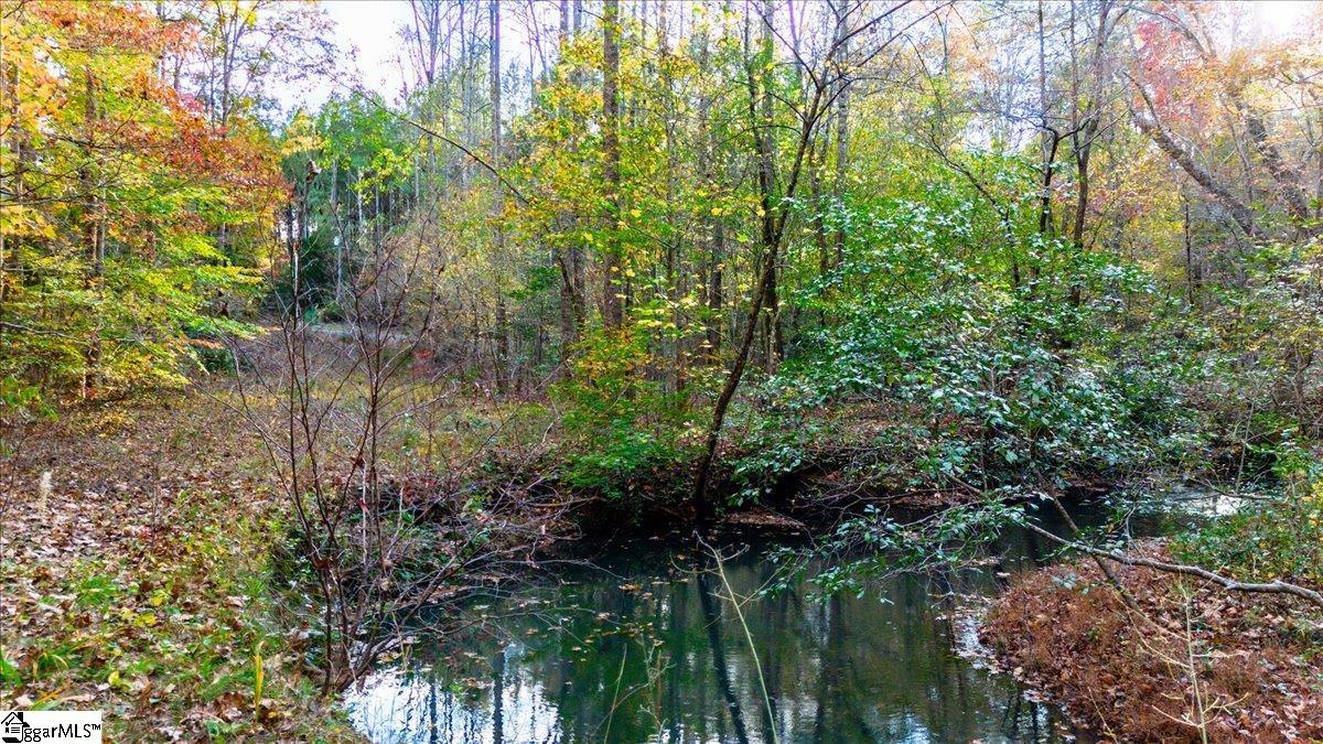 148 Smokey Haze Road Pickens, SC 29671 - Photo 9 of 24