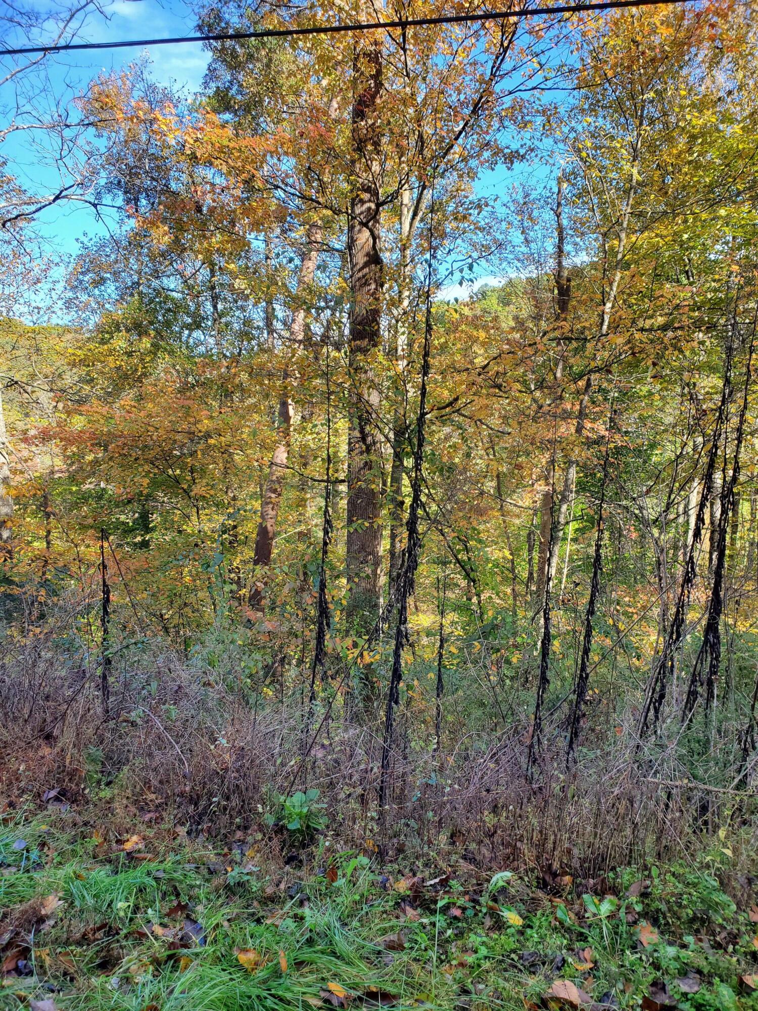 9999 Fisherman Cove Road London, KY 40741 - Photo 4 of 4 20211027_104958