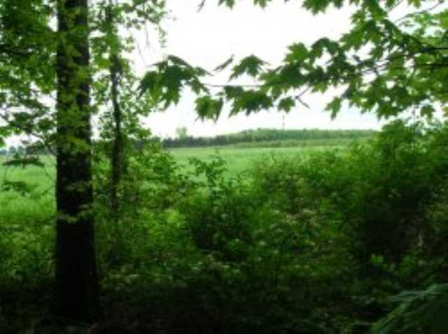 3 Birch Road Kinderhook, NY 12184 - Photo 9 of 9 Photo 9