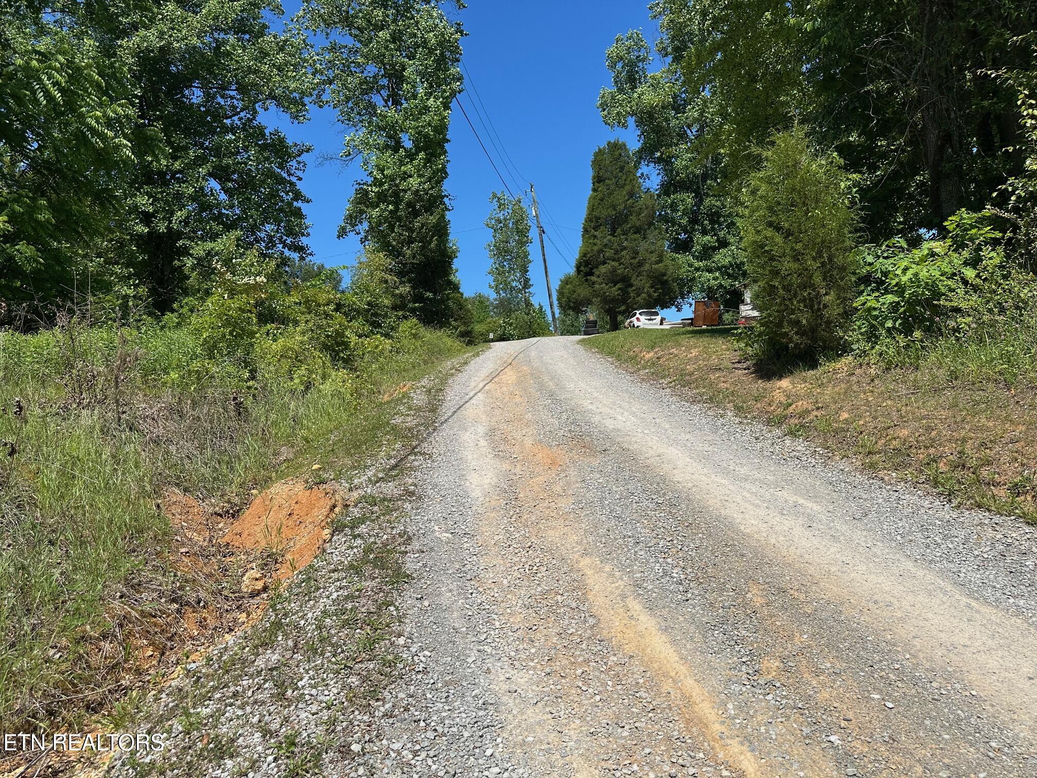 Mars Hill Rd Spring Spring City, TN 37381 - Photo 12 of 13 IMG_5637