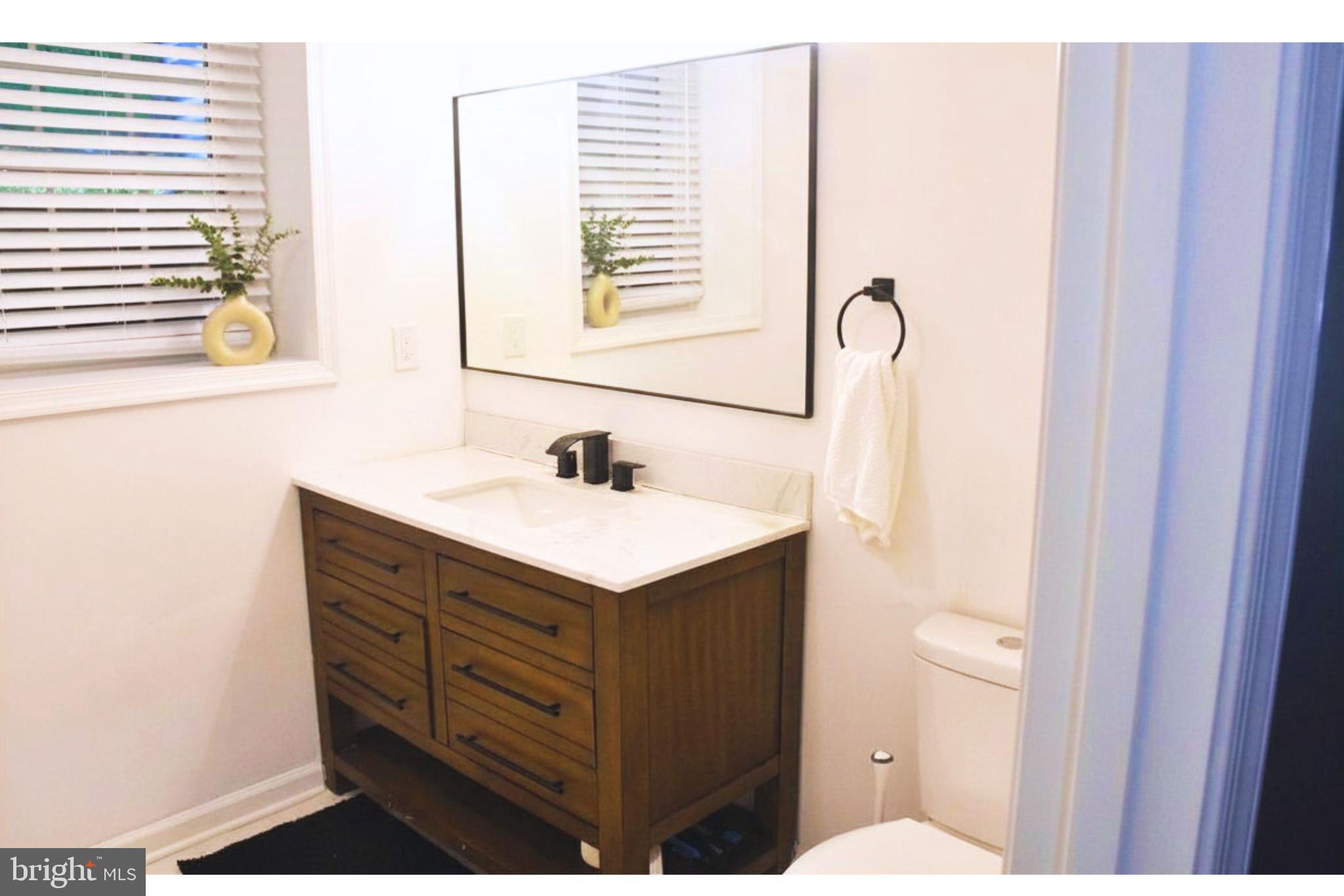 17930 Masemore Road Parkton, MD 21120 - Photo 23 of 46 a bathroom with a sink vanity and a toilet