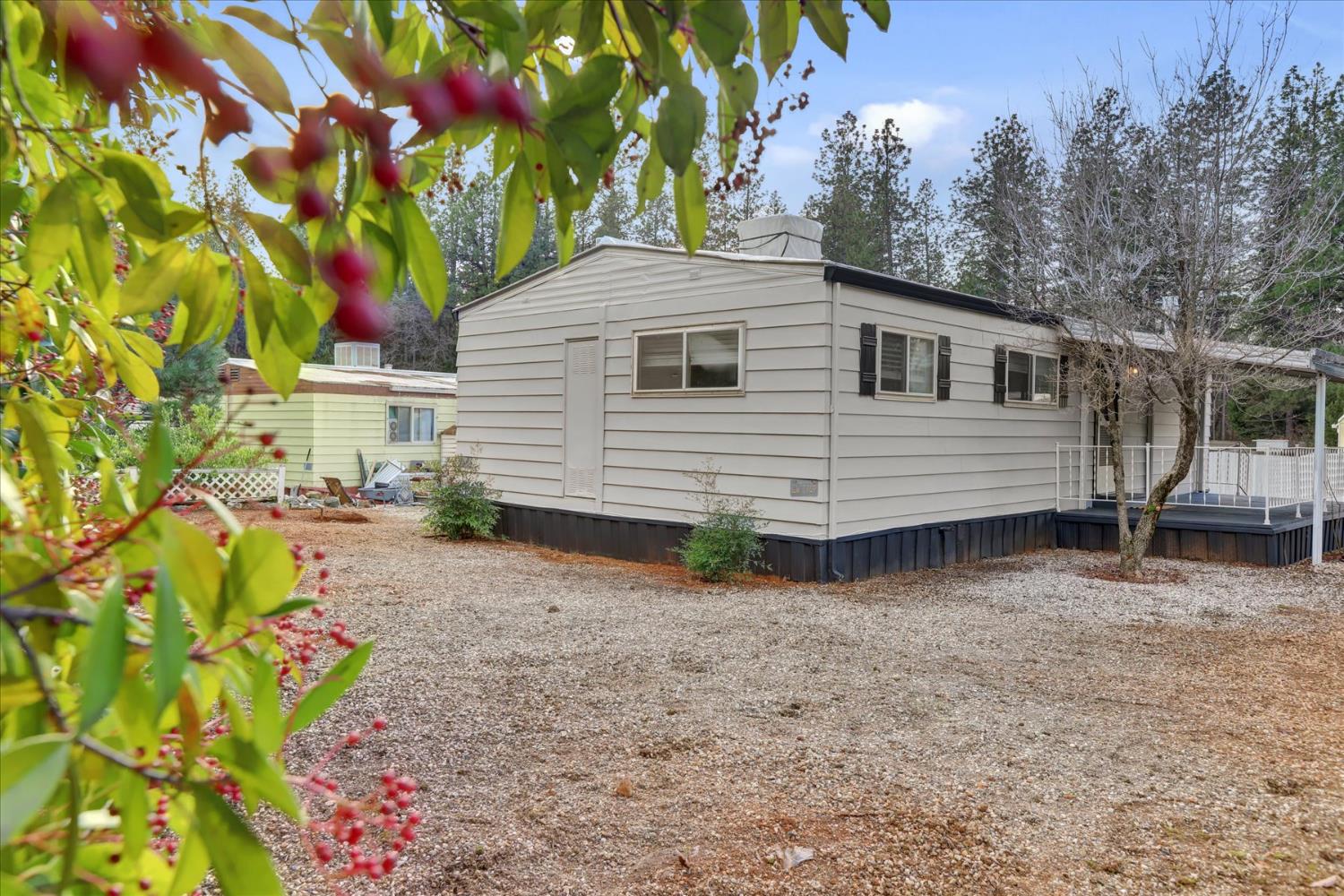 65 Primrose Lane Grass Valley, CA 95945 - Photo 35 of 41 a backyard of a house with lots of green space