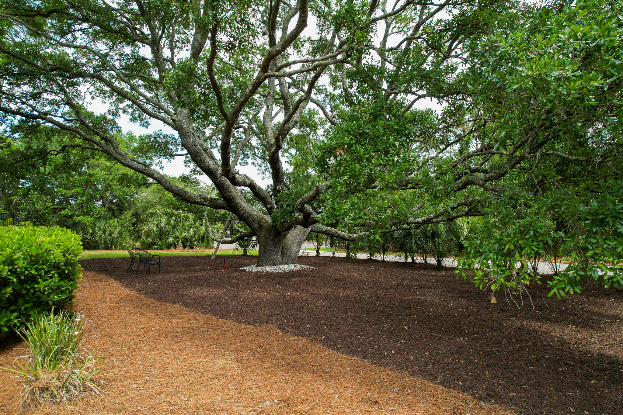 2213 Rolling Dune Road Seabrook Island, SC 29455 - Photo 83 of 121 Drone