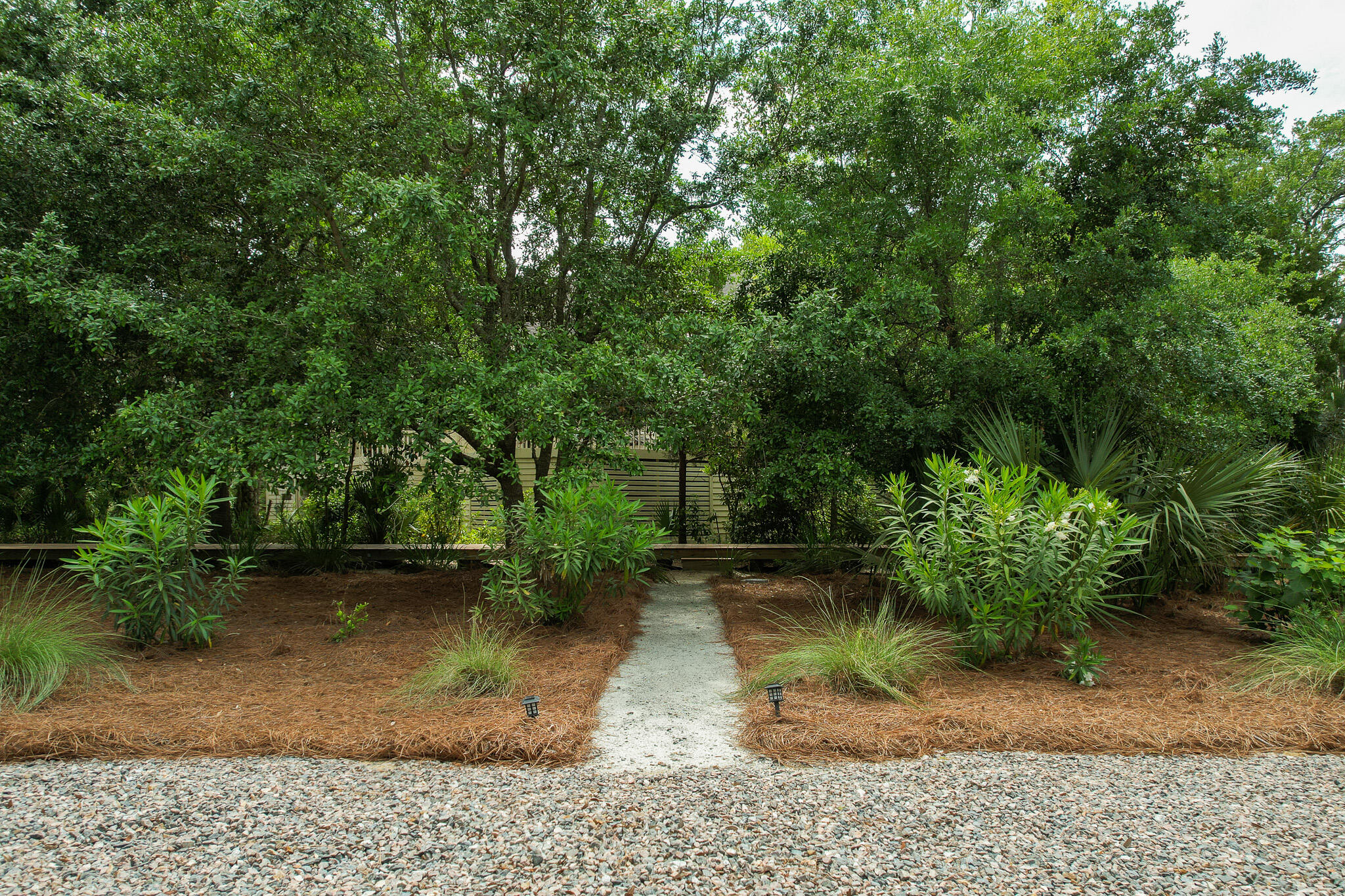 2213 Rolling Dune Road Seabrook Island, SC 29455 - Photo 84 of 121 Private Walkpath to Boardwalk 2