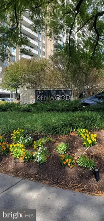 a view of a park with plants and trees