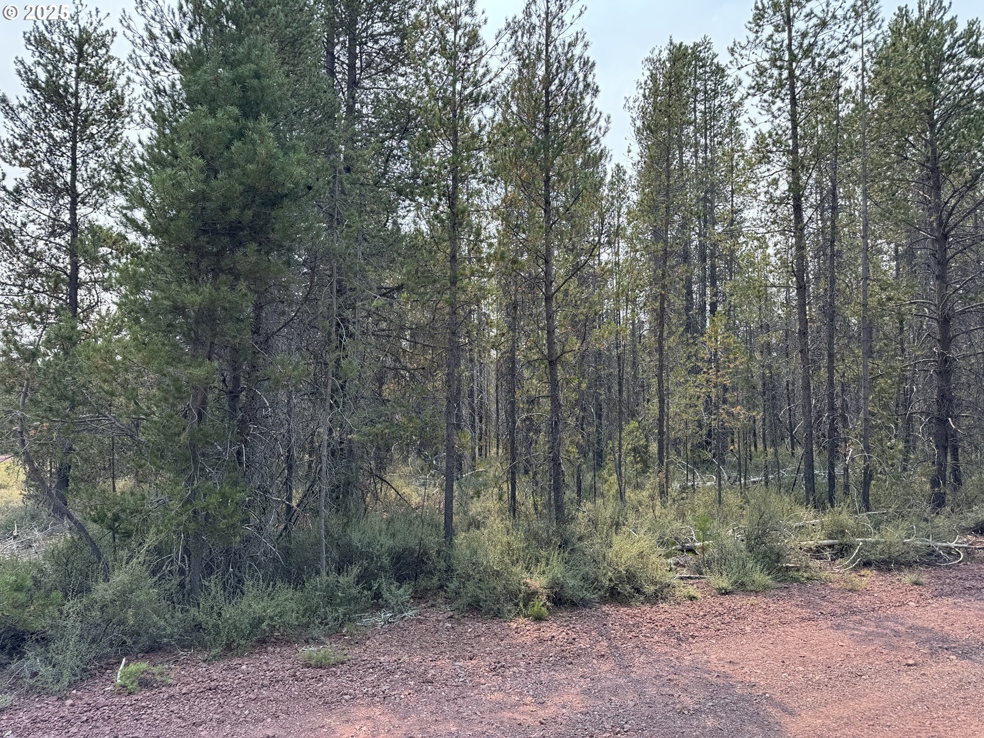 Cloudcap Drive, Unit 1 Chiloquin, OR 97624 - Photo 6 of 23