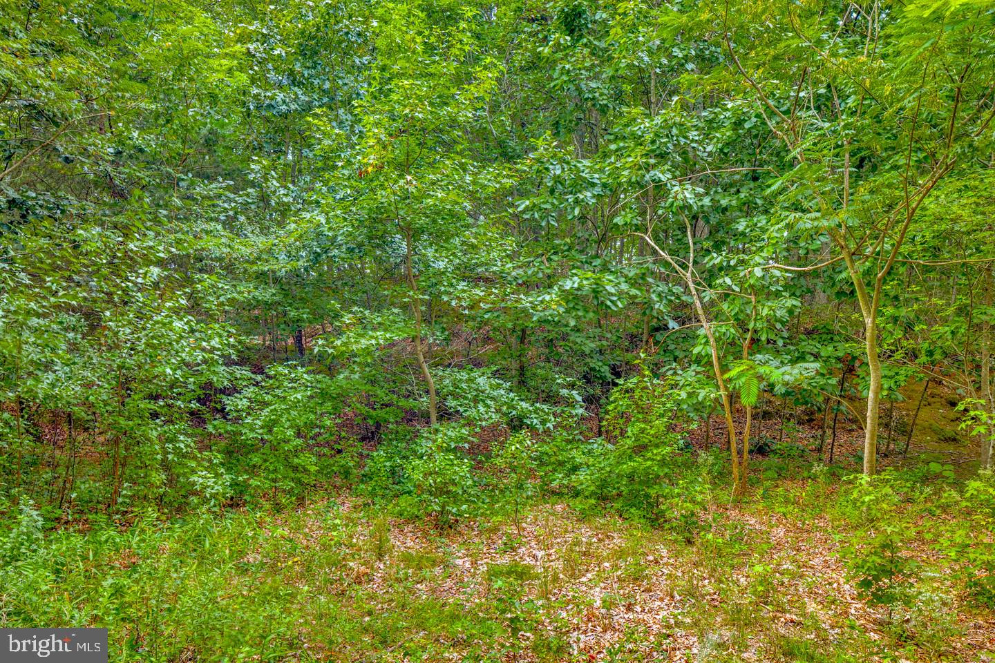 332 Juliustown Road Columbus, NJ 08022 - Photo 50 of 65