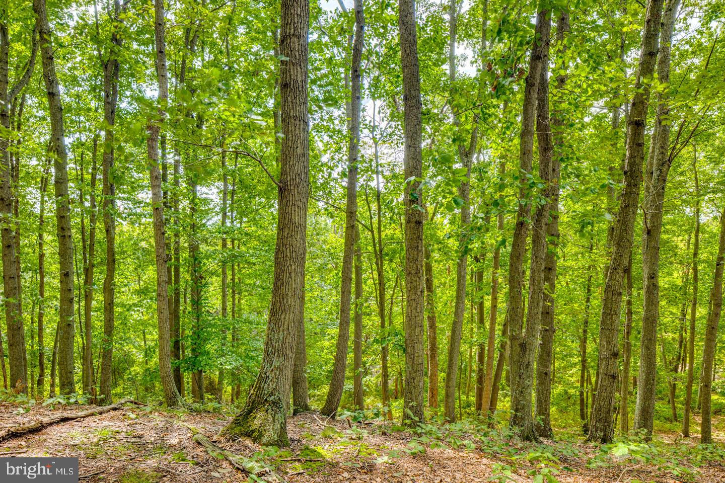 332 Juliustown Road Columbus, NJ 08022 - Photo 51 of 65