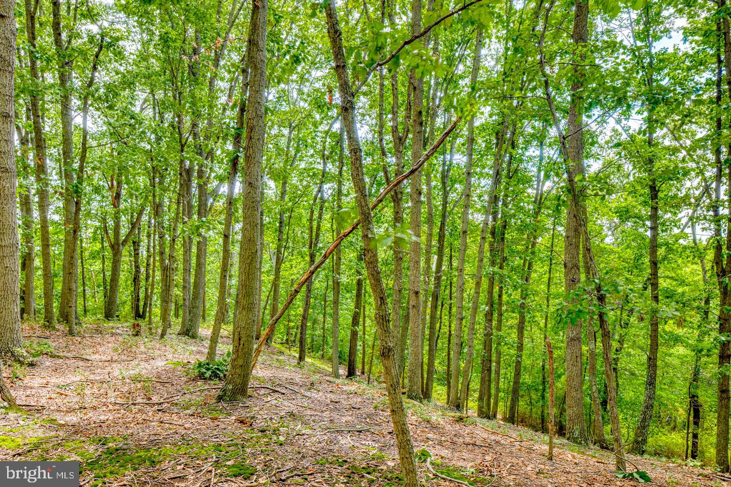 332 Juliustown Road Columbus, NJ 08022 - Photo 55 of 65