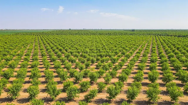 a view of balcony with city view