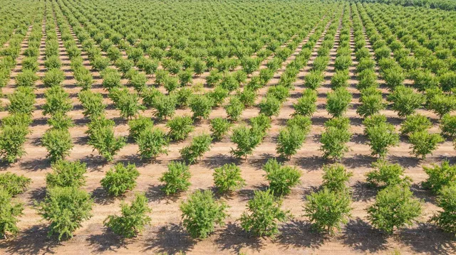 a view of a tennis court